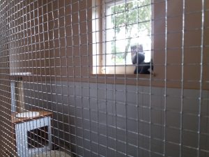 PENSION FELINE BRETAGNE CENTRE