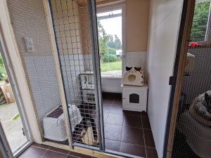 PENSION FELINE BRETAGNE CENTRE