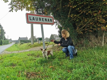 PROMENADE CHIEN PENSION FELINE BRETAGNE CENTRE