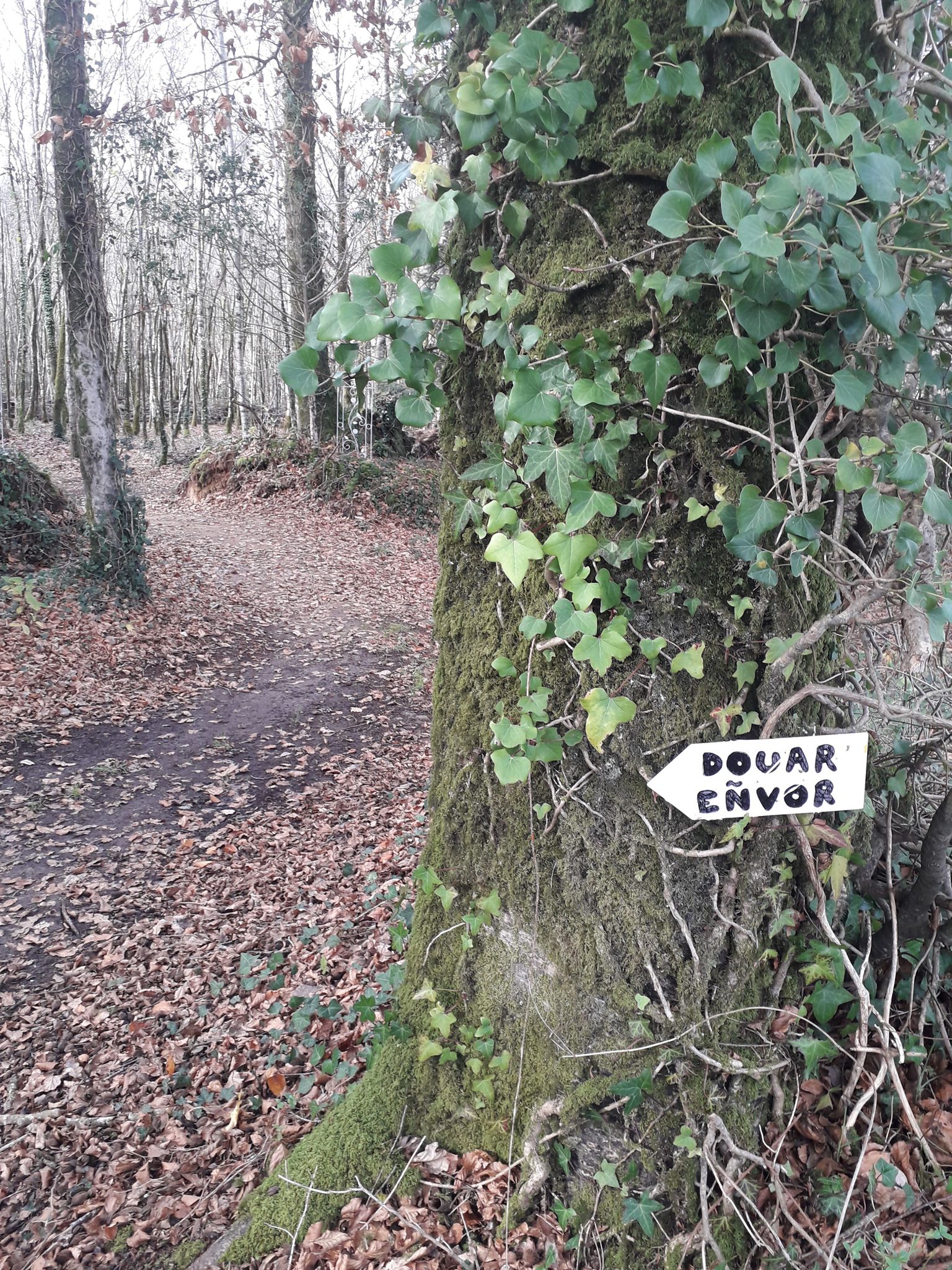 cimetière animalier de Bretagne Douar Envor