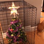 sapin de noël en cage chat