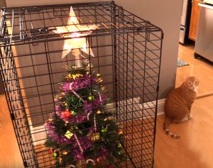sapin de noël en cage chat