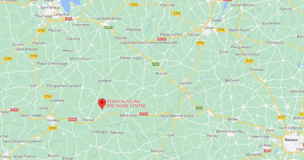 GOOGLE MAPS PENSION FELINE BRETAGNE CENTRE